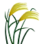 ear_of_rice :ear_of_rice: