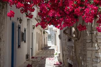 Gasse auf Samos