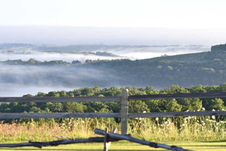 Blick auf das bewaldete Ozark-Gebirge