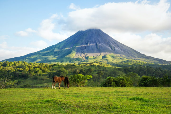 Pferde vor dem Vulkan Arenal in. Costa Rica