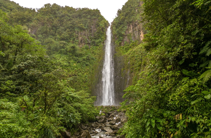 Wasserfälle auf Basse-Terre