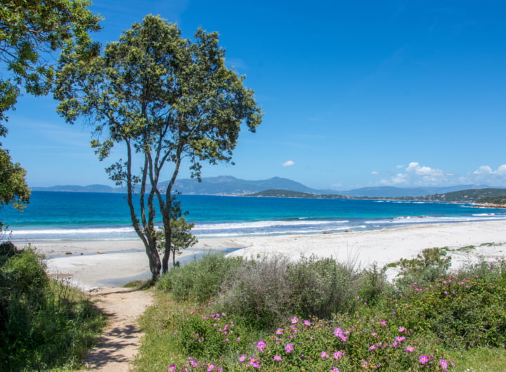 Strandbucht auf Korsika