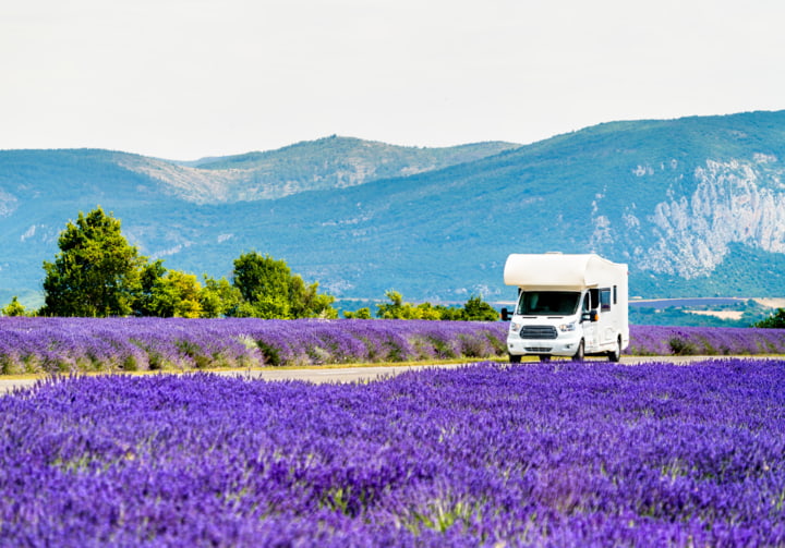 Lavendelfelder in Frankeich