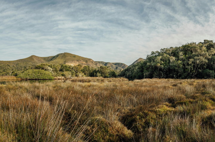 Landschaft im Tsitsikamma Nationalpark