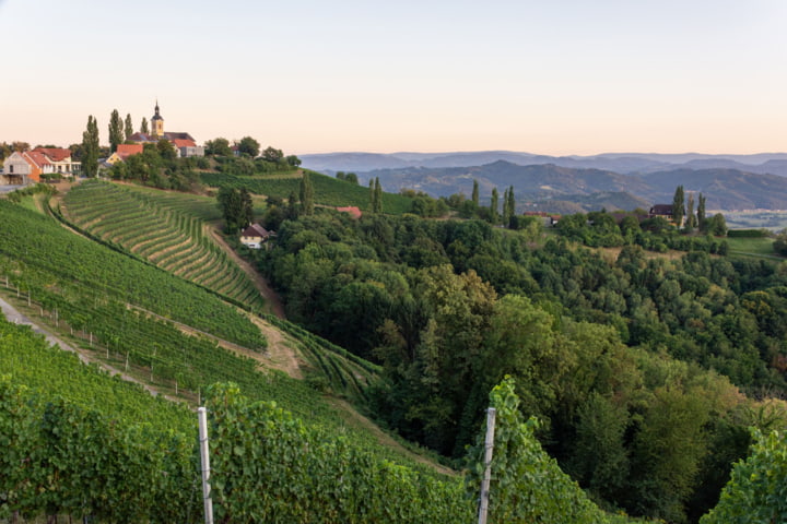 Weinberge und Dorfblick in Kitzeck, Südsteiermark, Österreich