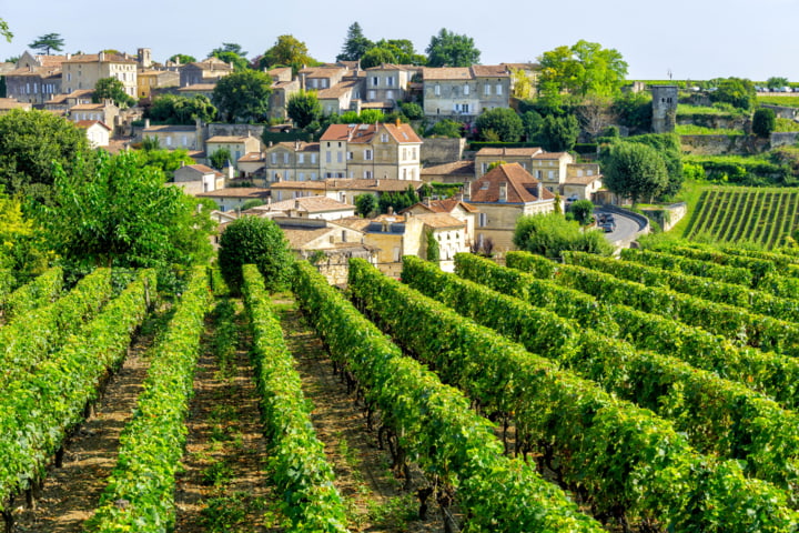 Weinberge in der Region Bordeaux
