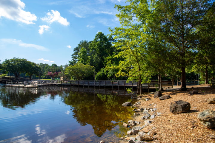 Natur im Weston Bend State Park