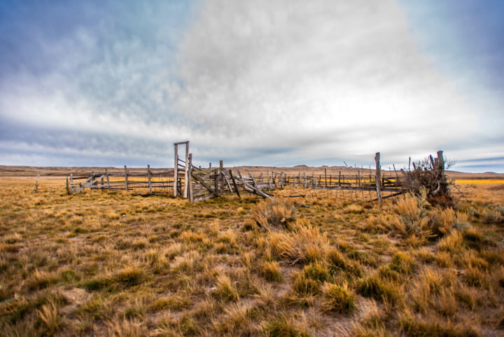 Die ewige Weite im Park