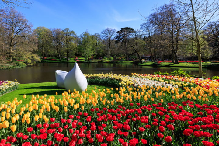 Tulpen im Keukenhof in Lisse, Niederlande