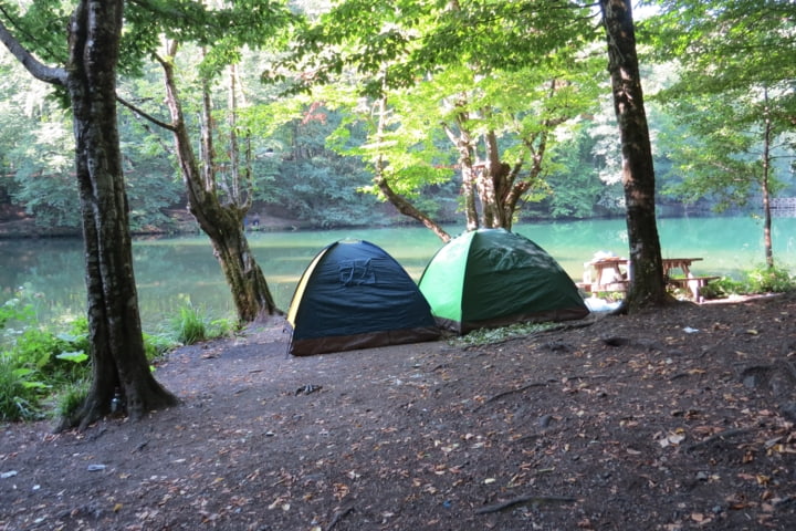 Die erfolgreiche Schlafplatzsuche: Plattform im Wald