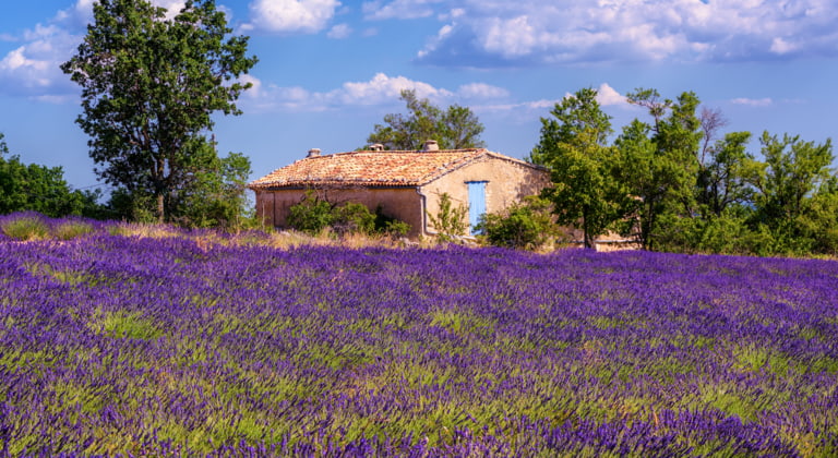 Gap – Sisteron – Digne les Bains
